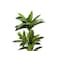 Monarch Specialties Artificial Plant, 51" Tall, Dracaena Tree, Indoor, Faux, Fake, Floor, Greenery, Potted, Real Touch I 9543 - alternate 3